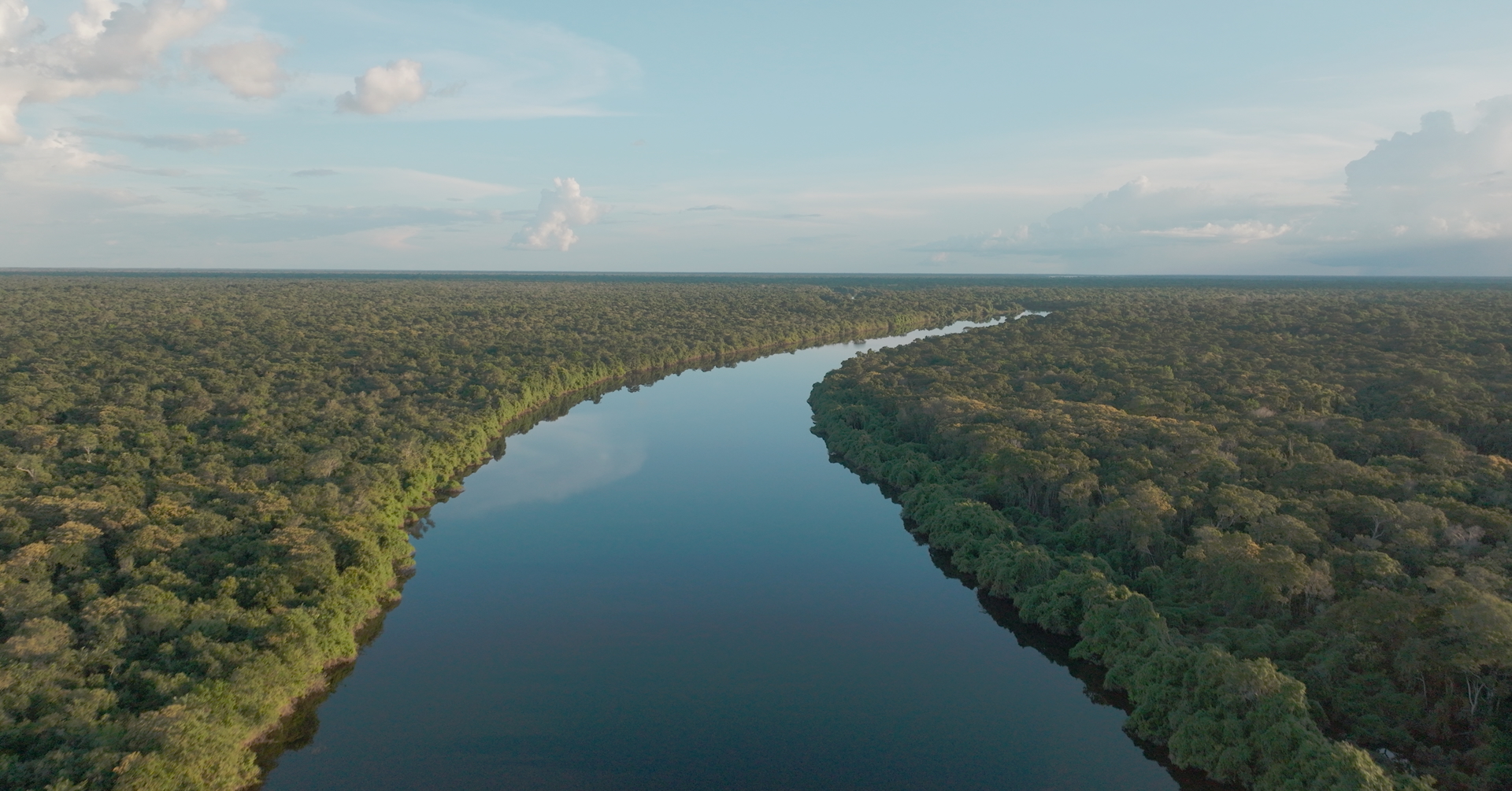 Amazon rainforest and river. Tocantins.