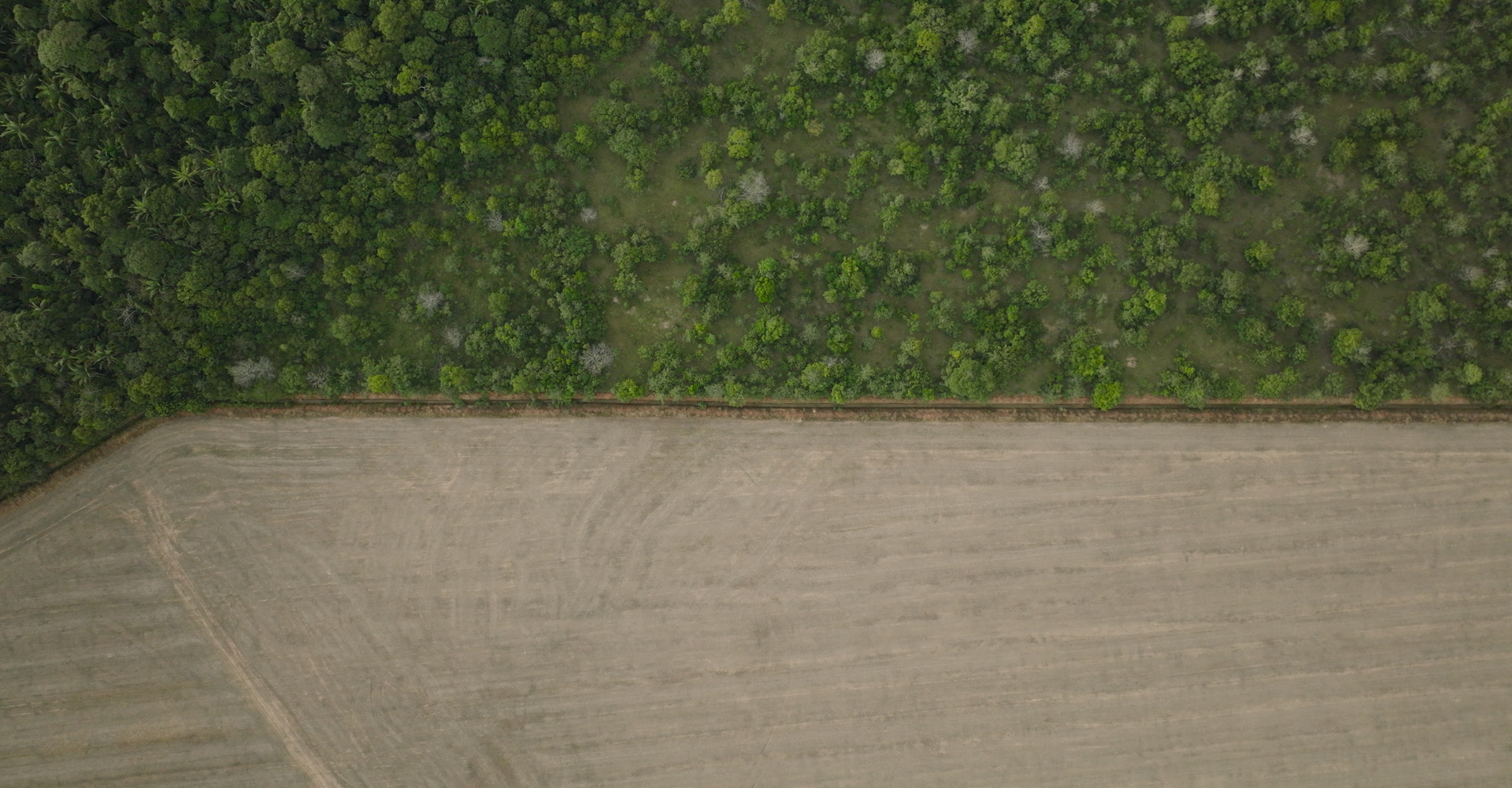 Deforestation in Tocantins