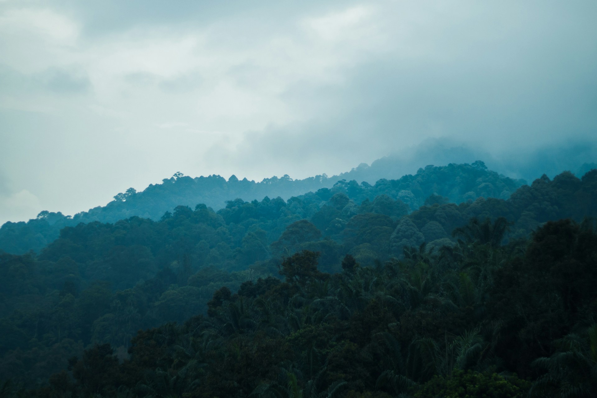 Photo by Ainur Iman on Unsplash